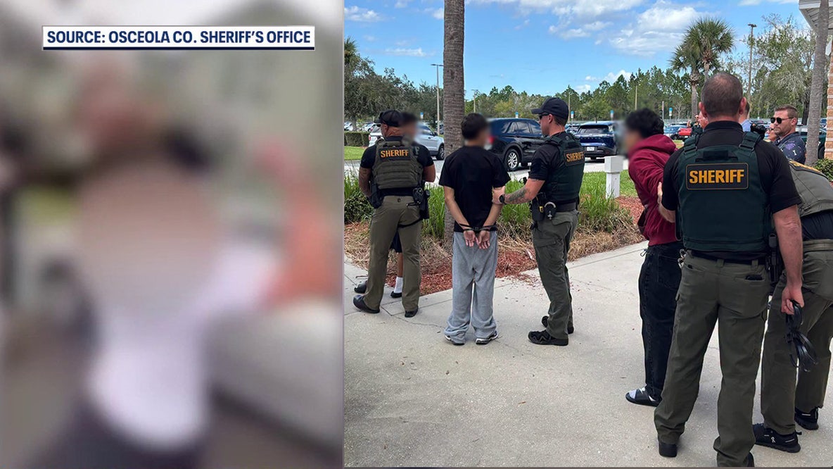 Harmony High School brawl: 9 students arrested after attack on fellow student, deputies say