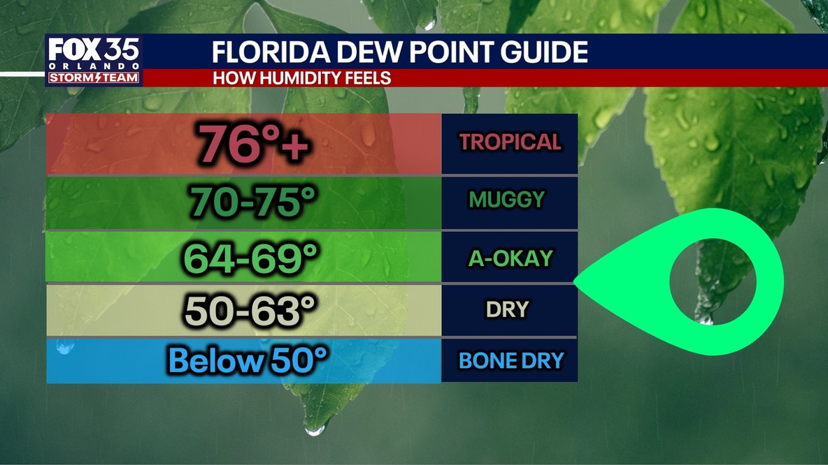 Orlando weather: Mostly dry, pleasant weather for Central Florida