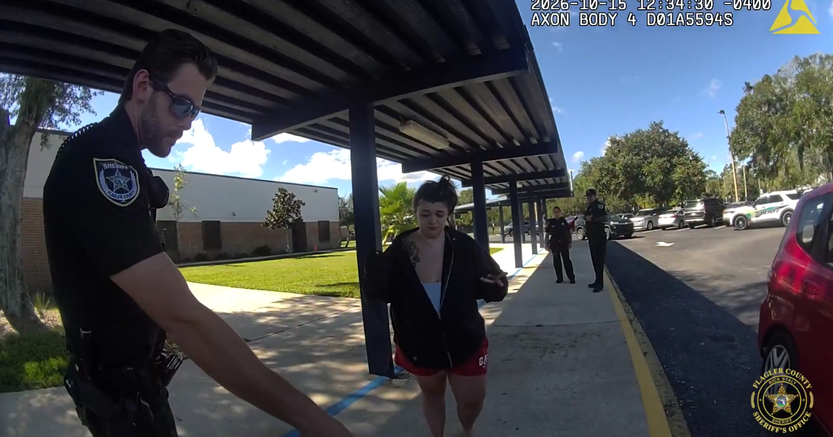 Palm Coast woman arrested on DUI charge while trying to pick up child ...