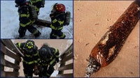 Photos: Mysterious canister washes ashore Florida beach during powerful nor’easter