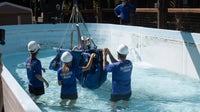4 rescued manatees return to Florida to be released into the wild