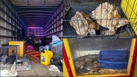 Exotic animals found abandoned in box truck; driver arrested, police say