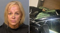 Florida woman charged with DUI after deputies say she struck, killed horse and drove away