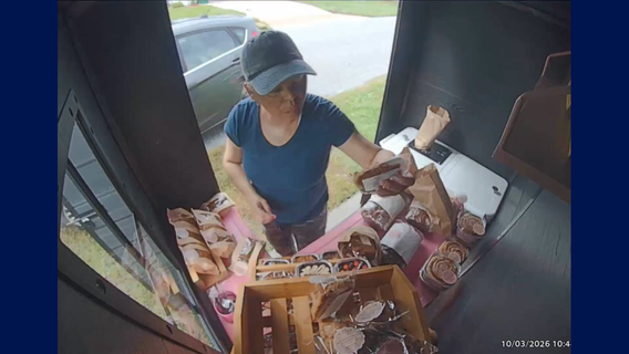 Woman arrested after baked goods theft in Brevard County, officials say