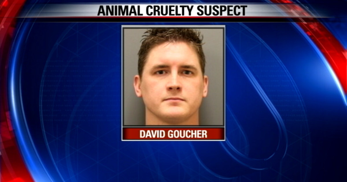 Former Denton shelter worker arrested for animal cruelty | FOX 4 Dallas ...