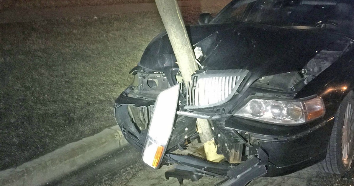 Suburban Chicago woman arrested for DUI after driving with 15-foot tree ...