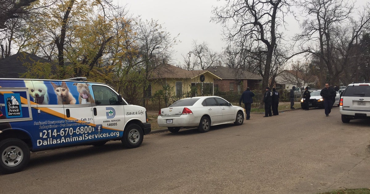 Aggressive dog shot after mauling Dallas woman | FOX 4 Dallas-Fort Worth