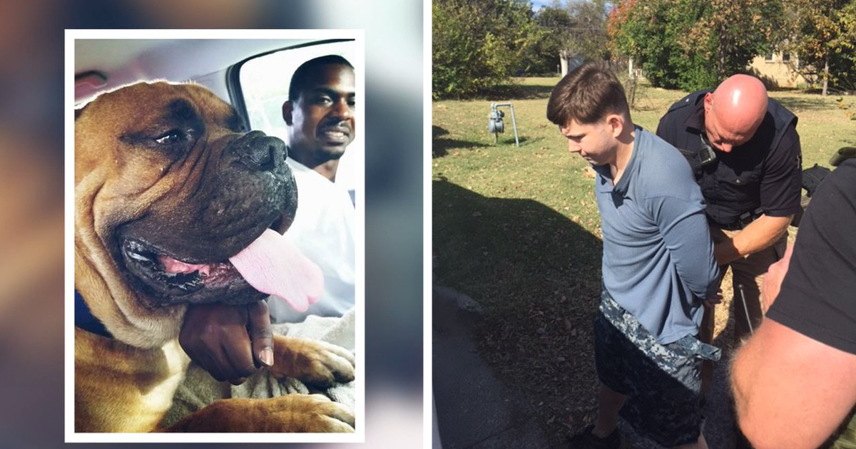 Fort Worth man accused of stabbing neighbor's dog to death | FOX 4 ...