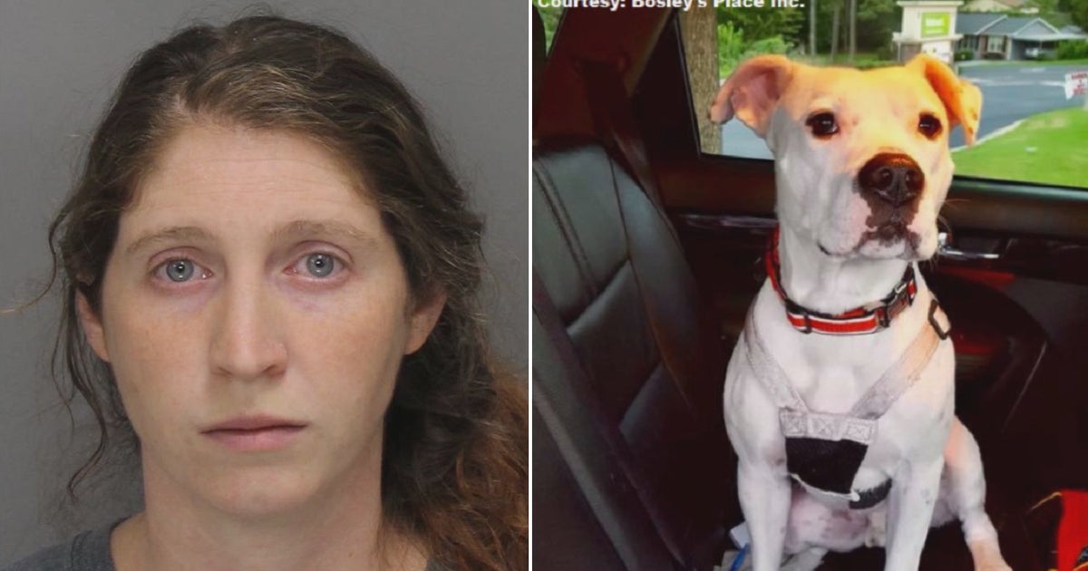 Police: Pet sitter, dog walker arrested for cruelty to animals | FOX 4 ...