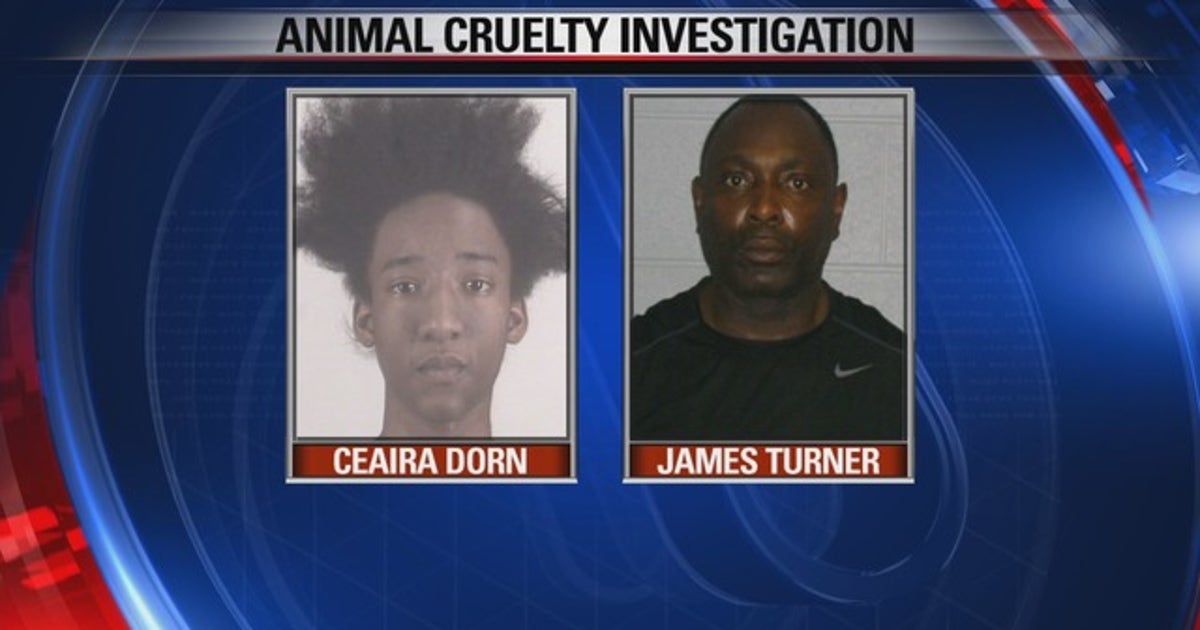Two charged in Fort Worth animal cruelty investigation | FOX 4 Dallas ...