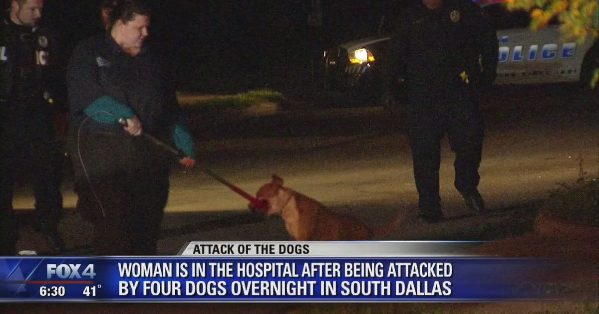 Woman hospitalized after dog attack in South Dallas | FOX 4 Dallas-Fort ...