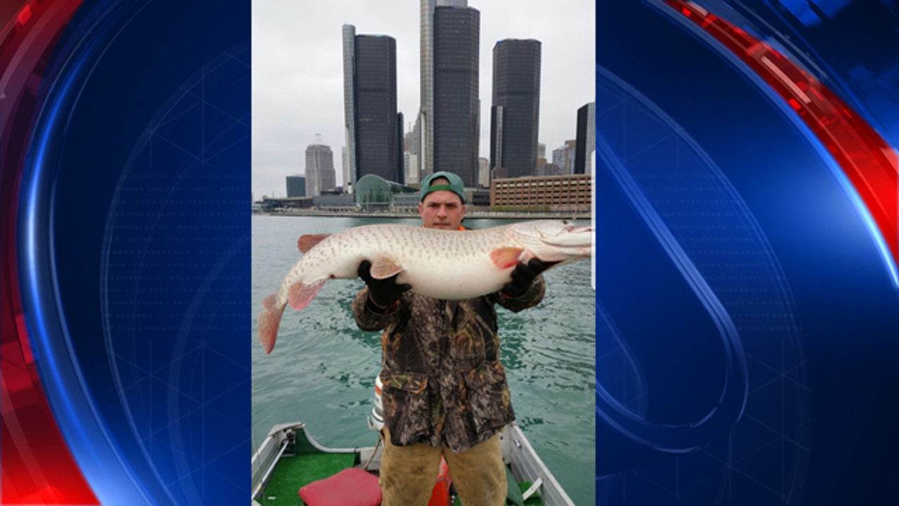 Huge fish caught in Detroit River near Renaissance Center