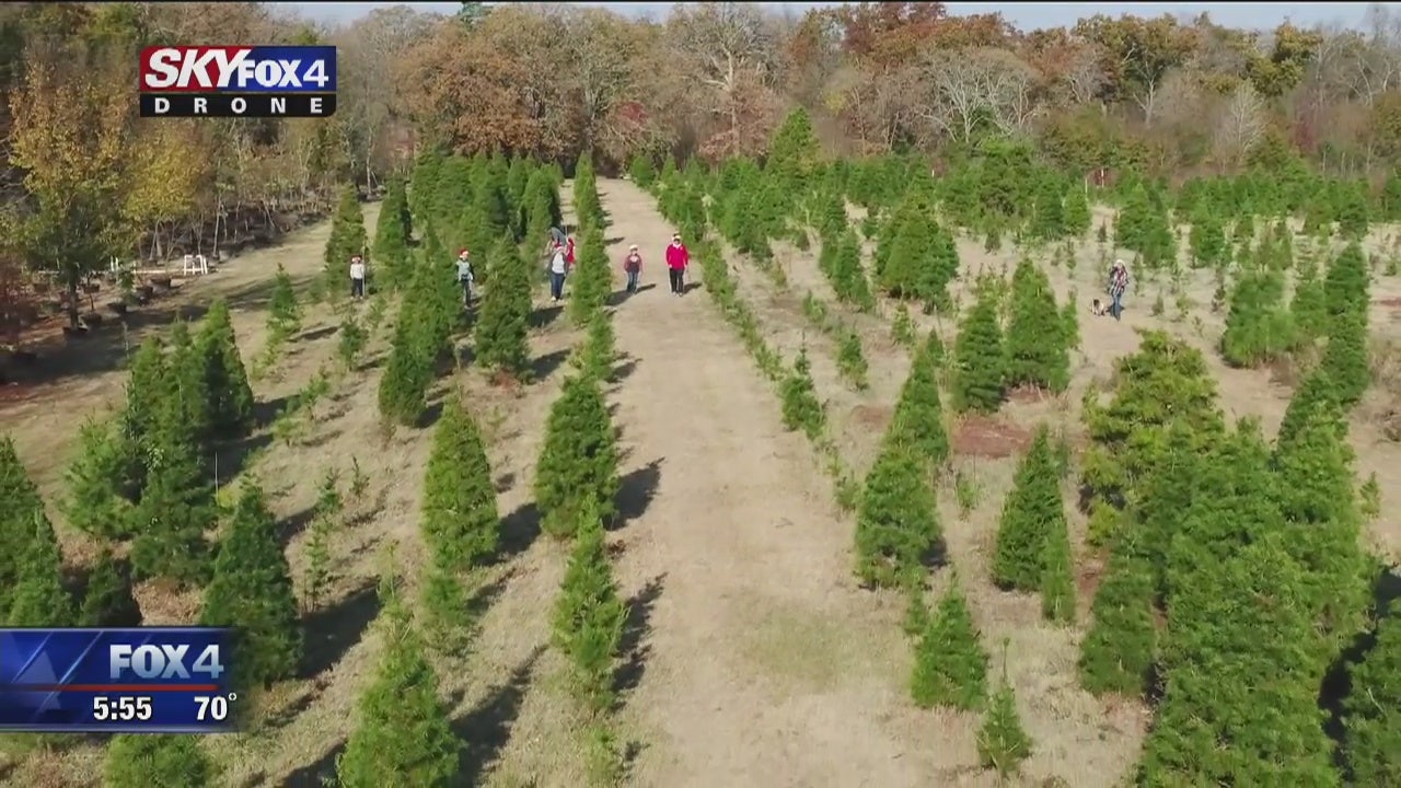 North Texas Christmas tree farm is a family matter