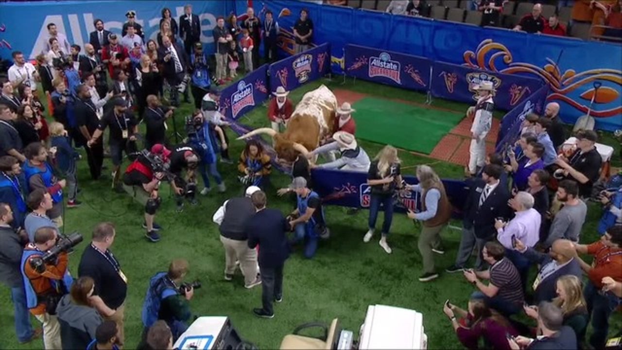 Photographer Sues Bevo’s Owners Over Incident Before 2019 Sugar Bowl ...