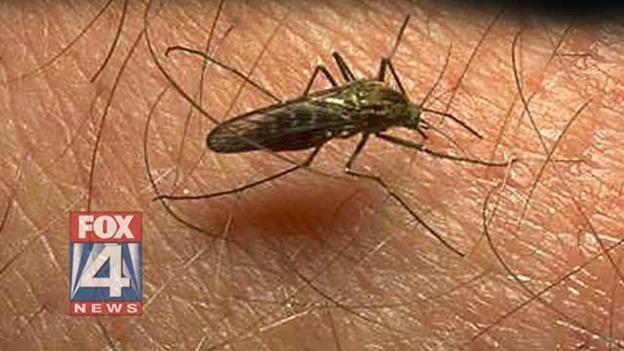 1st human case of West Nile virus this year confirmed in Tarrant County