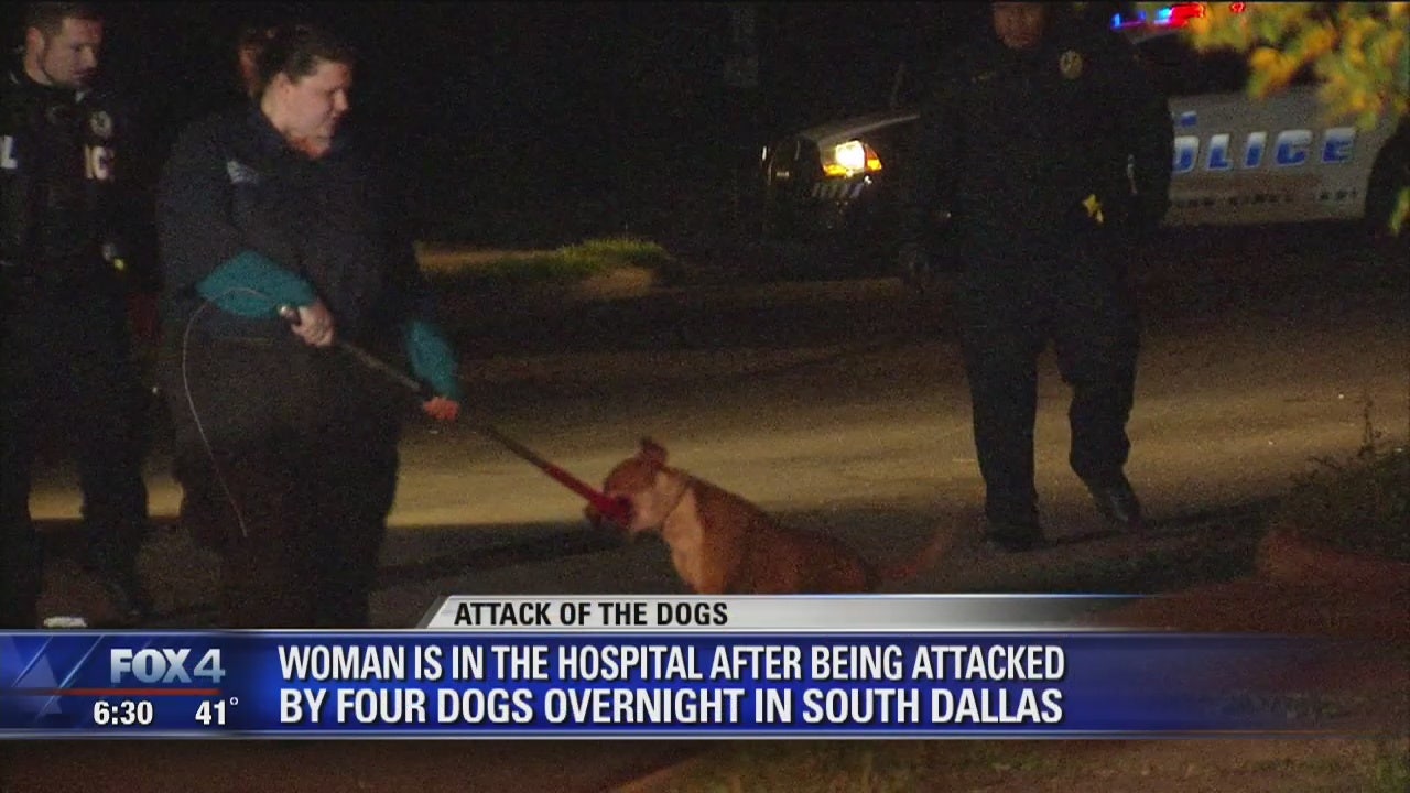 Woman hospitalized after dog attack in South Dallas | FOX 4 Dallas-Fort ...