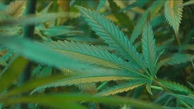US House bill would close loophole that legalized THC products in Texas