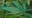 US House bill would close loophole that legalized THC products in Texas