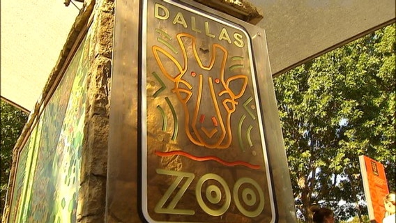 Dallas Zoo economic impact study shows billions generated for city as budget cuts loom