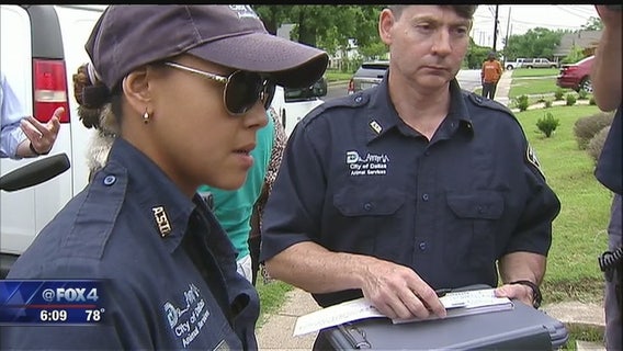 Consulting firm studying loose dog problem in Dallas seeks public input through online survey