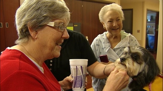 Hometown Hero: Paws with Partners