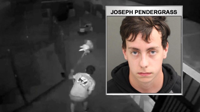 Florida teen arrested in dog abuse investigation