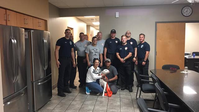 Dalmatian puppy sneaks into Hillsborough fire house