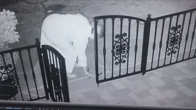 Woman picks up what she thinks is a dog toy, actually a rattlesnake