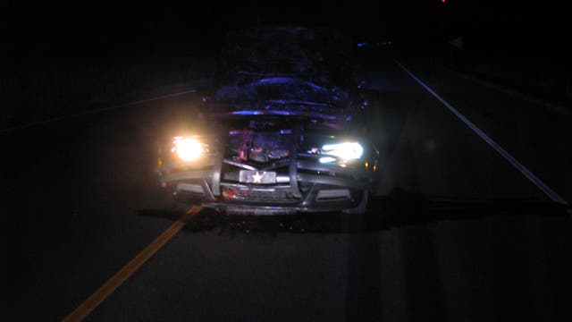 DASHCAM VIDEO: Minnesota deputy hits deer at 100 mph