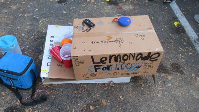 Thieves rob kids' lemonade stand