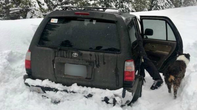 Man lost in snow for five days survived on Taco Bell sauce packets