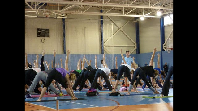 Watch ‘Riptide' the dog hilariously attempt to workout with crew team