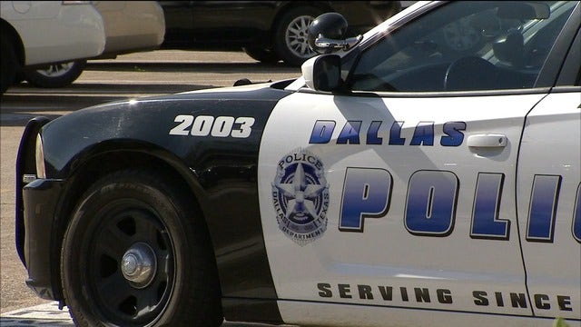 Dallas police officer under investigation for killing cat while on duty