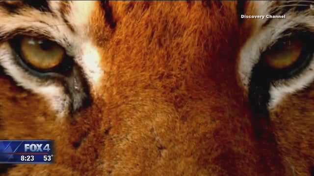 EarthX film festival comes to Dallas