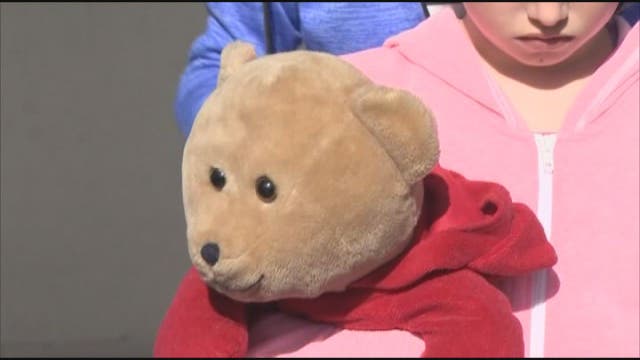 Teddy lost during shooting reunited with owner