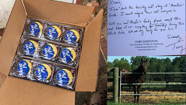 MoonPie sends treats to family of horse named 'Moonpie' that was shot, killed