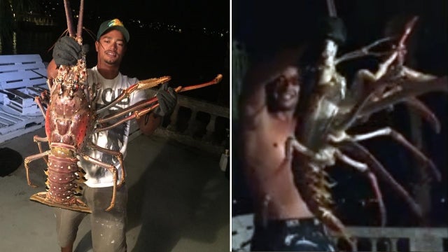 WOW! Hurricane Nicole blows in 'sea monster' of a lobster