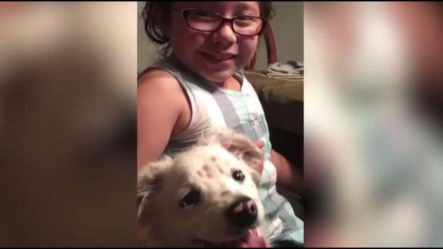 Girl who is deaf teaches deaf dog sign language