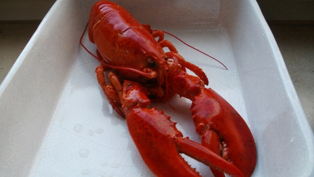 Report: Rapper named '2pec' fled restaurant without paying tab by jumping into the ocean