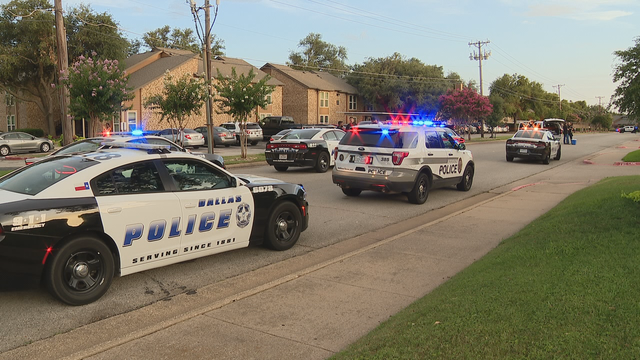 Addison PD investigating "possible murder" of elderly woman