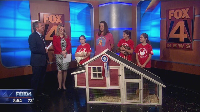 Learn how to set up your own chicken coop