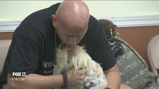 Special dogs now care for veterans