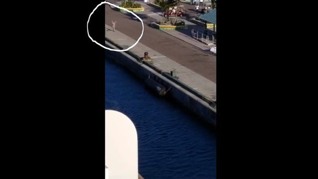 Stranded mother pleads and sobs as cruise ship sails away with her kids on board