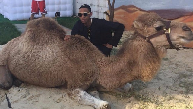 Mom spends thousands to bring Dubai to Philly for son's lavish prom send-off