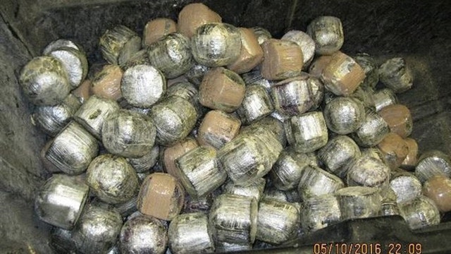 1,423 pounds of marijuana found inside coconuts at border