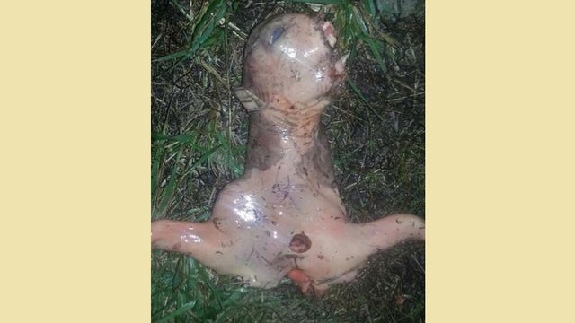 Woman finds bizarre 'alien' creature in her yard