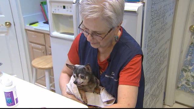 Maryland woman turns her home into a retirement home for senior pets