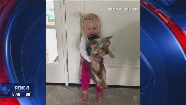 Olympic skier Bode Miller's toddler daughter drowns in pool