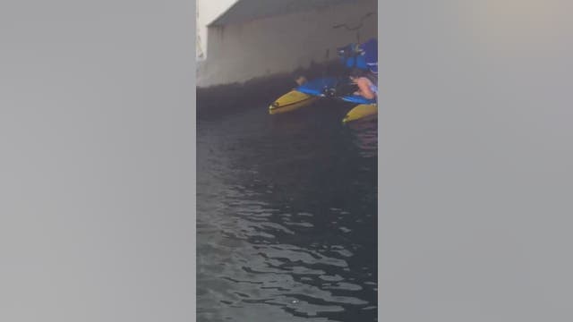 'Cat Hero' rescues kitten from Hillsborough River