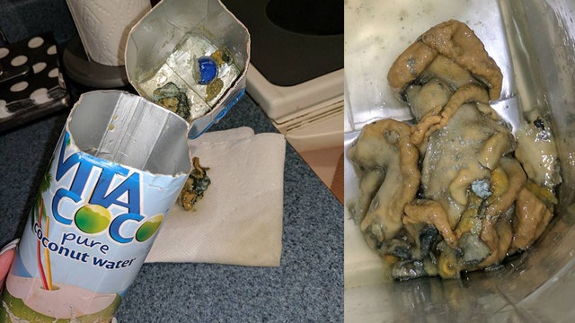 Woman reportedly finds squid-like substance in bottle of coconut water